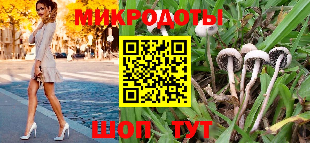 Алексеевка  Псилоцибиновые грибы Magic Shrooms  Вход с VPN 