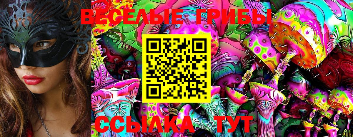 Галлюциногенные грибы Magic Shrooms Алексеевка