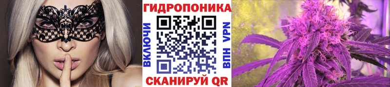 Канабис семена Алексеевка